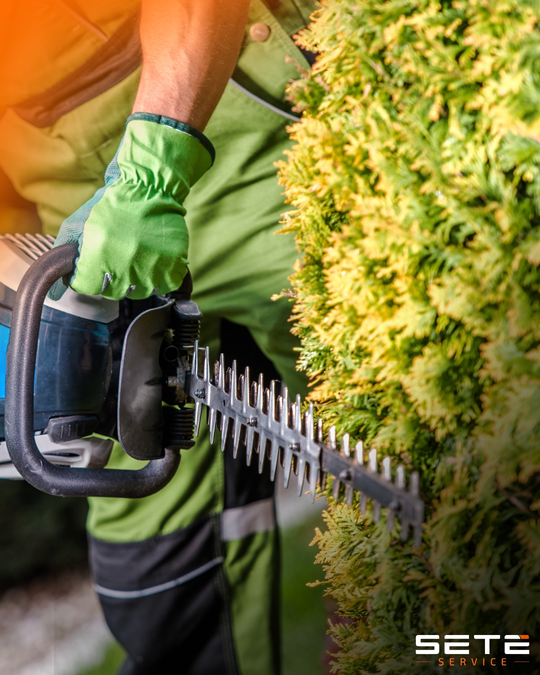 Jardineiro de luvas verdes segura aparador de cerca viva motorizado próximo a arbusto denso